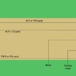 How Many Creases Are There in Cricket