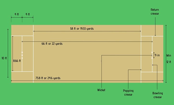 How Many Creases Are There in Cricket