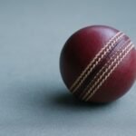 cricket team rivalries on game
