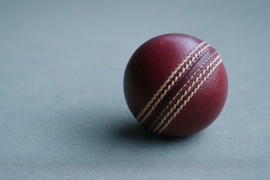 cricket team rivalries on game